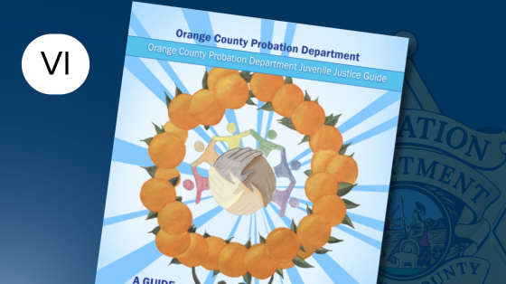 Juvenile Justice Guidebook Vietnamese