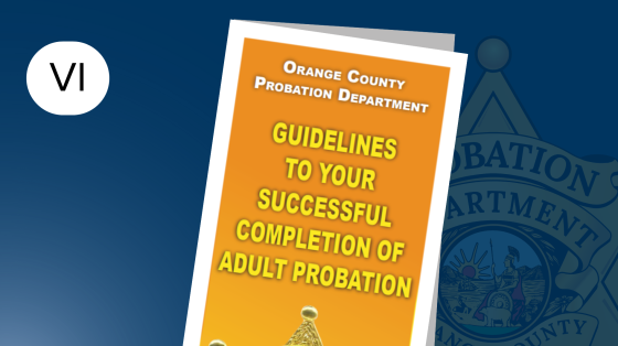 successful completion of adult probation