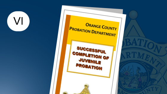 Brochure: successful completion of juvenile probation